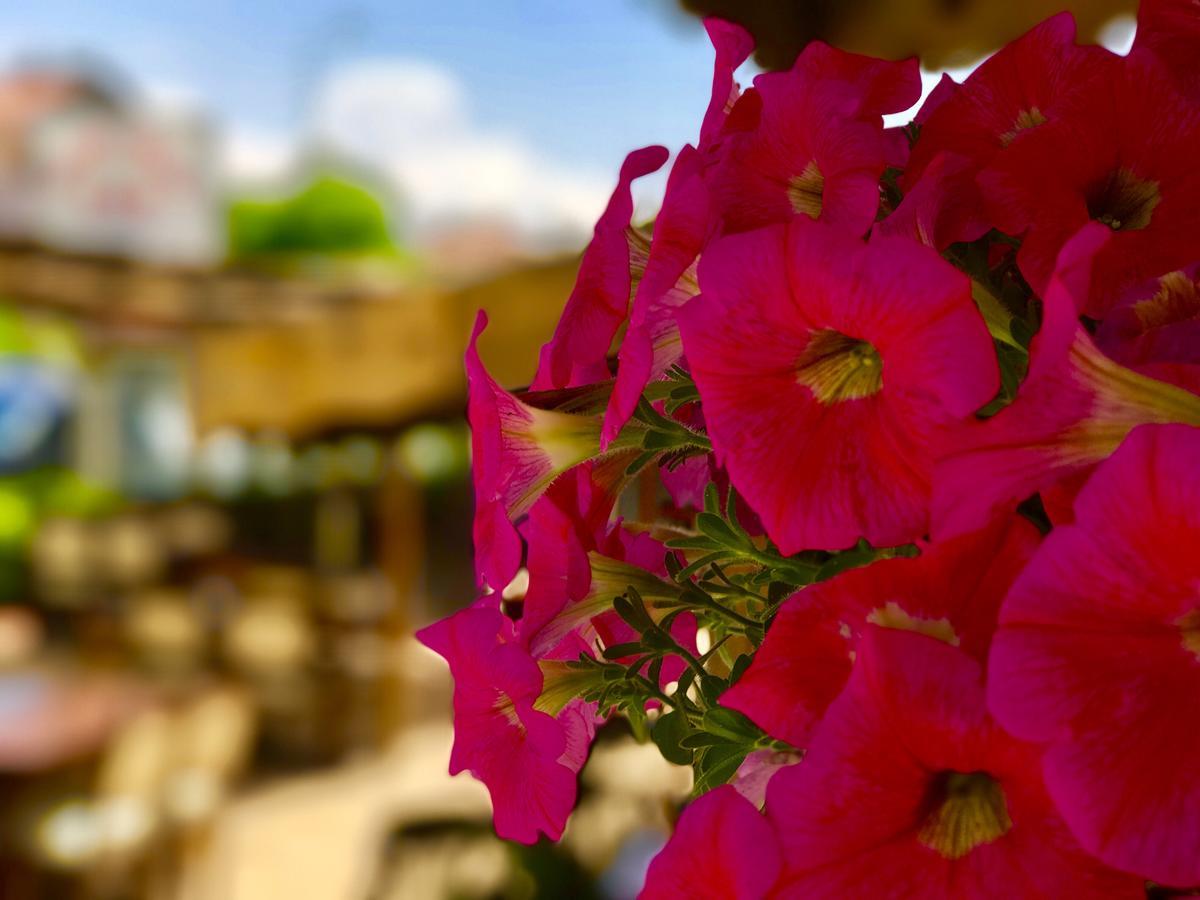 Nehir Apart Hotel Fethiye Esterno foto